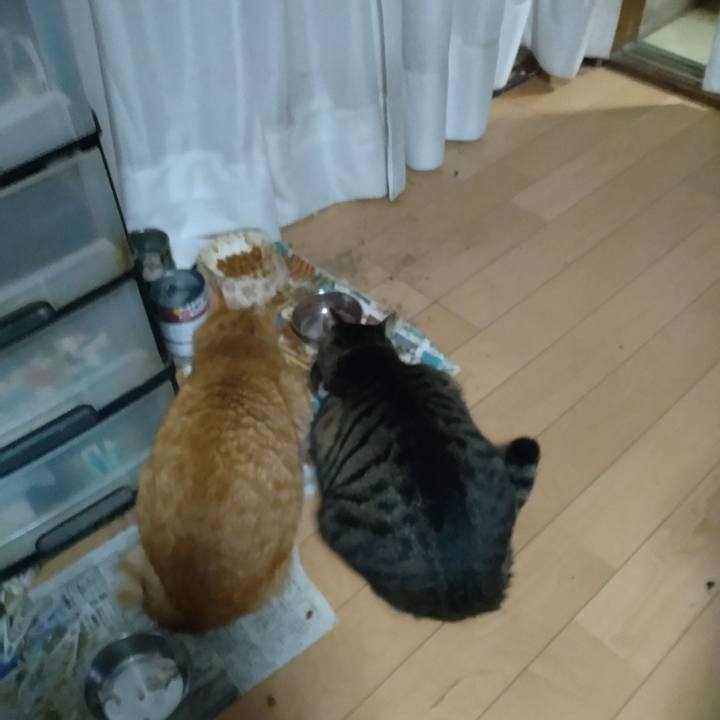 25222480 6fcb 44b6 93c3 ad7f86bad570 1699173578860