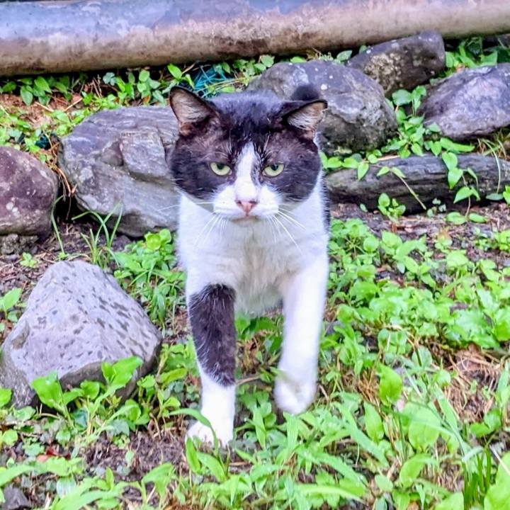 25223a6c 37ed 47a1 b7f6 00038e9c367a 1757670623278