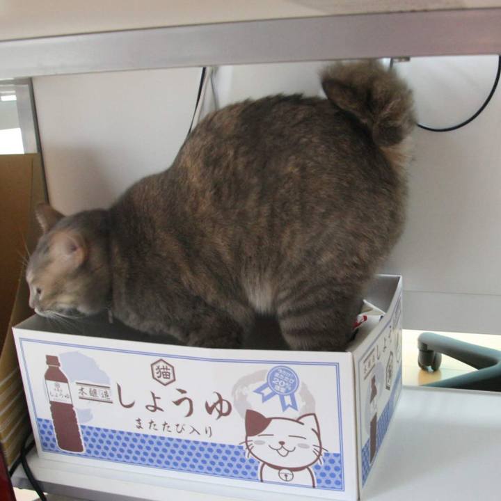 25224f91 f53a 4d20 9d65 9986eef48983 1547602835810