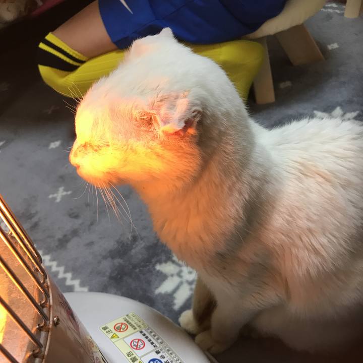 25225b63 0645 4e31 92f9 90d40621dd57 1549956088625