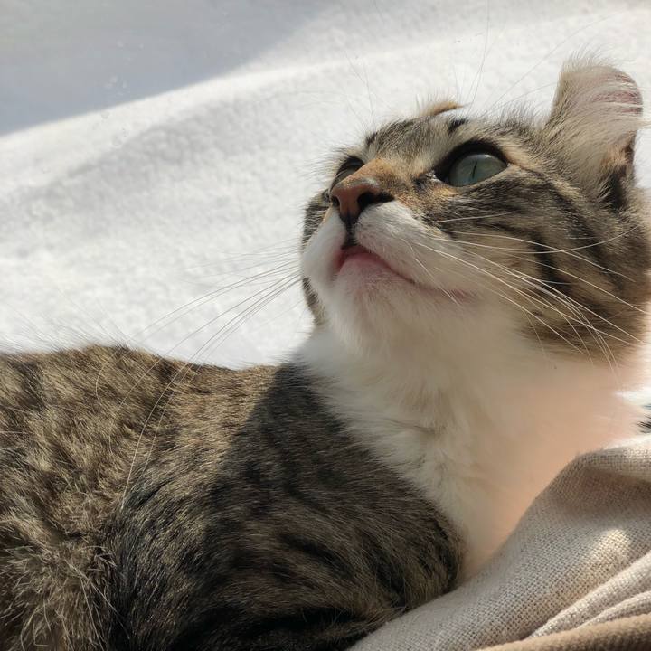 25226144 1372 4f7e b70e e6fee645d945 1520205468557