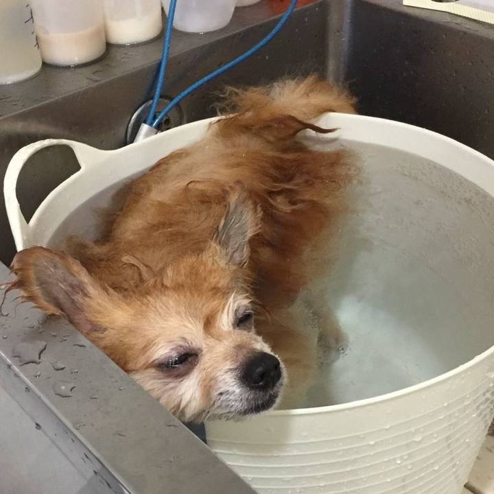 25227cfc 24e5 490f a760 44f7ef02ce37 1567208597137