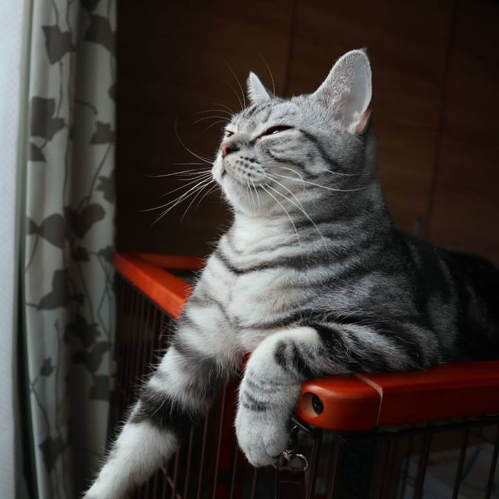 25230b76 b3fa 401e 9dfc a9f66832a9f0 1586250850411