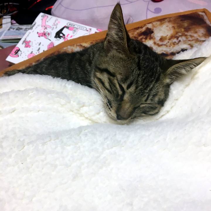 25232006 3f5f 4fd4 91ad 303ce41d9992 1539077020076