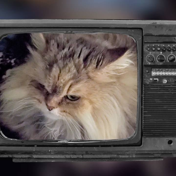 2523217b 1365 407e 97bb f3ced0e5e370 1708081081689