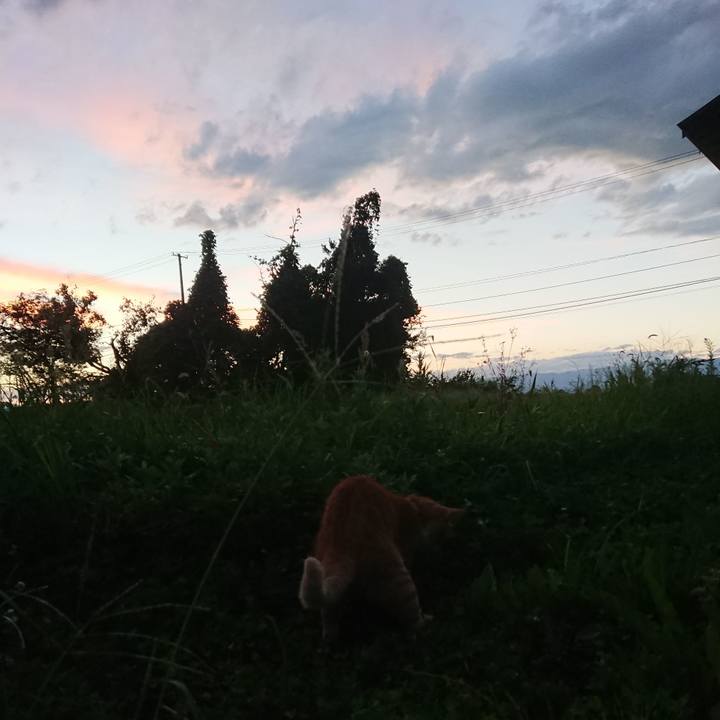 25233274 b214 4625 8bde 7595d8d682b0 1597139698869