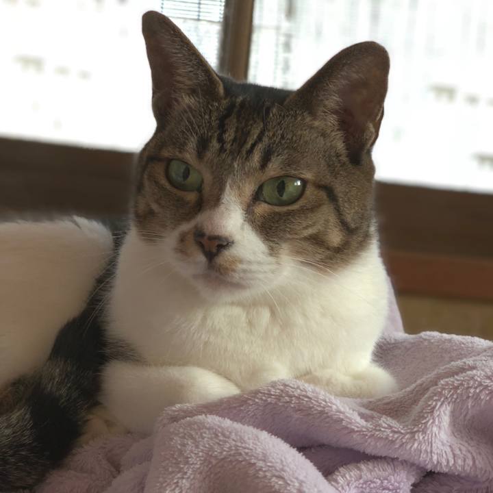 25233279 1266 4be6 83a9 792bc37273b1 1540085544110