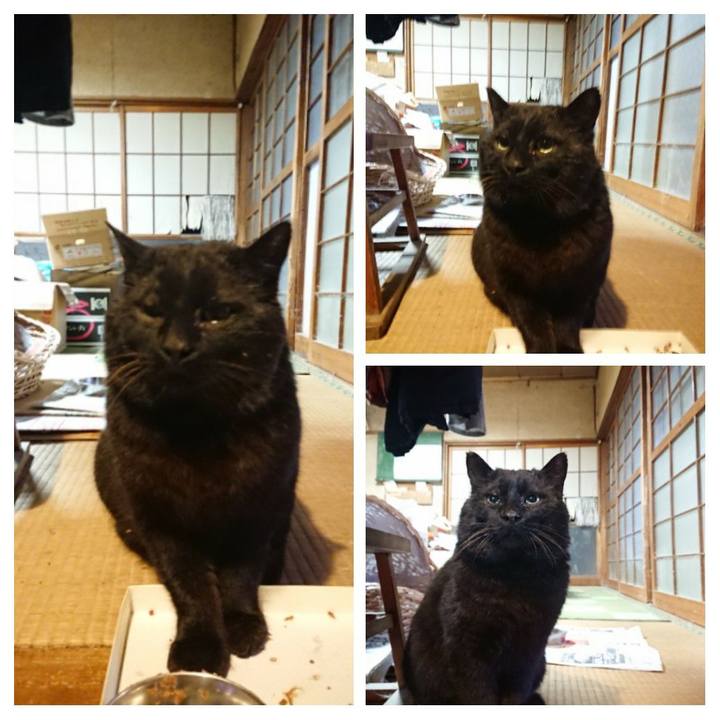 2523373c 4d10 404a a312 018b25cca6c2 1616620024963