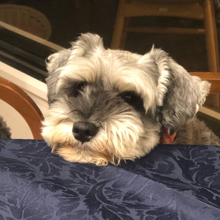 252349d8 0fb5 40e8 96b9 7338a8368dc0 1572082938478