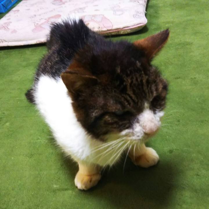 252363eb 0e8c 41e1 a492 5d8a8d1c97d8 1593086585623