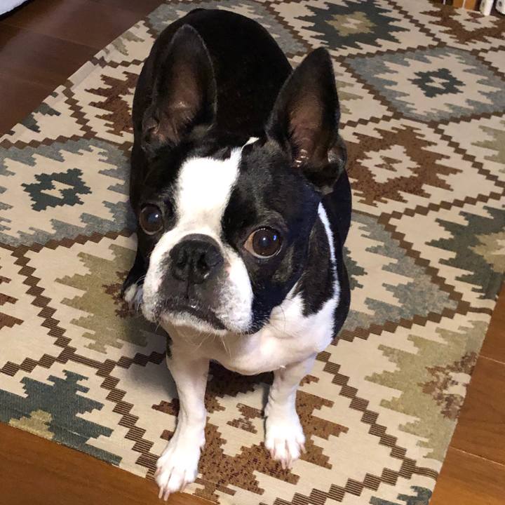 25238396 20e5 49af acc3 4f76b1ad707e 1686051548615