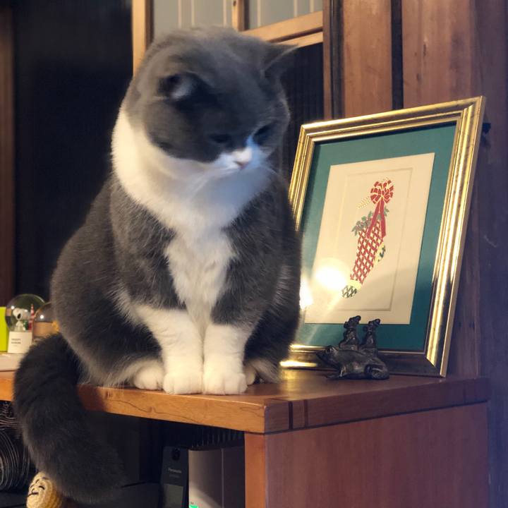 25238409 6ec9 450c 906e 4fd5763f70f0 1607948453526