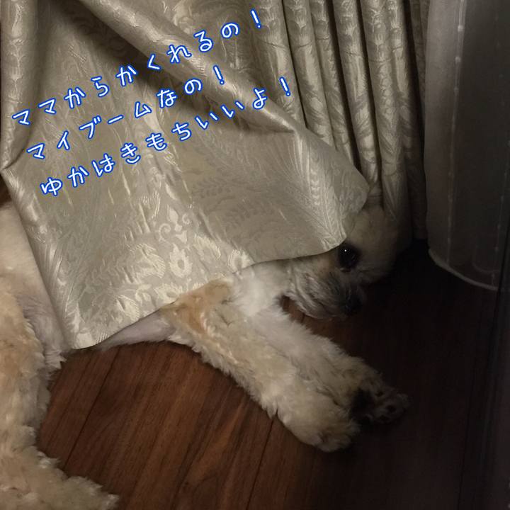 2523a4e8 f366 4cda 96ad b335ba60a476 1527507199500