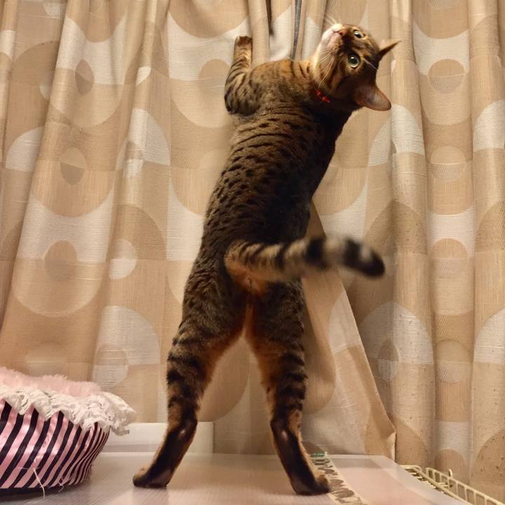 2523ec19 3cd9 46fb add8 7a3990ec0886 1519868664917