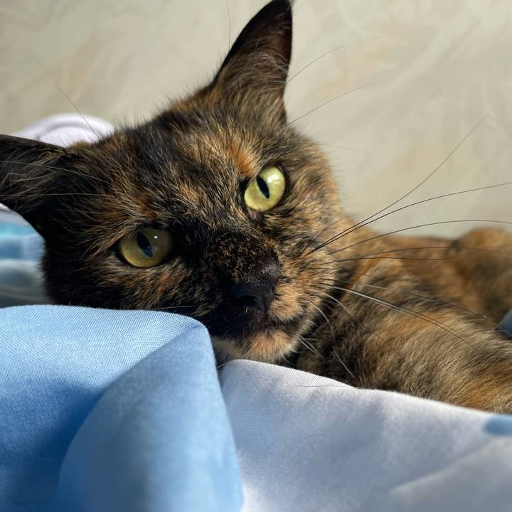 25240d7b 97ce 4f8c 91d3 ba8526ce4624 1759182610032