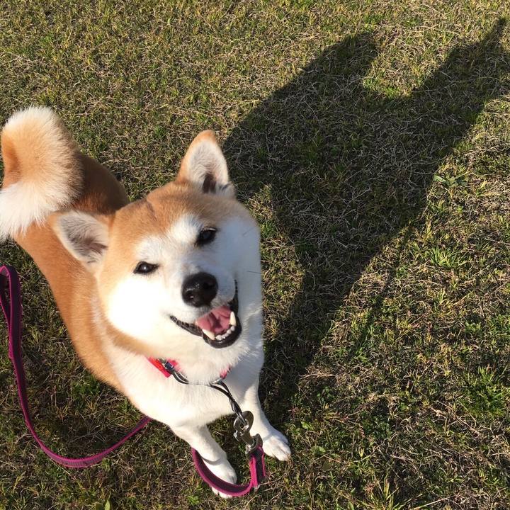 25242cd5 ec8f 48b3 8c93 521d63c20016 1555312610224