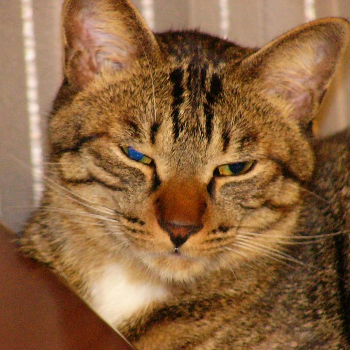 25244d7c d99c 4bb3 8aea d1fdf7f63807 1578744234998