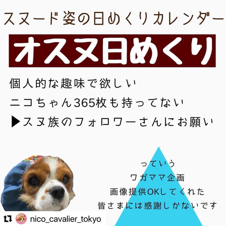 25246d42 b3c7 4022 a1f9 dfbaf85ad2d3 1635414828356