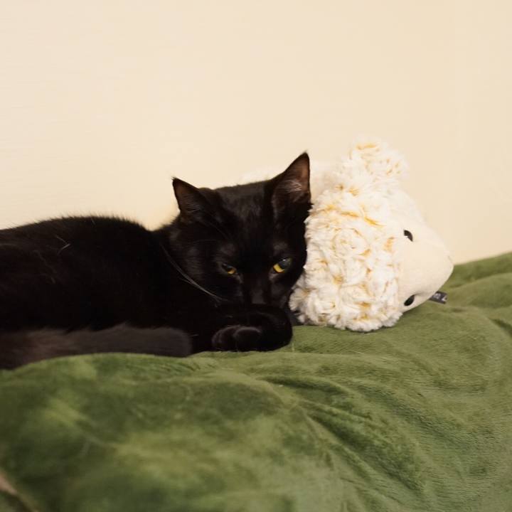 2524c9ee d908 4b10 8c58 8c9b40c737b8 1553435376315