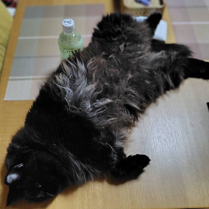 2524d3aa 8945 4743 aece a05f3235b69e 1714826983549