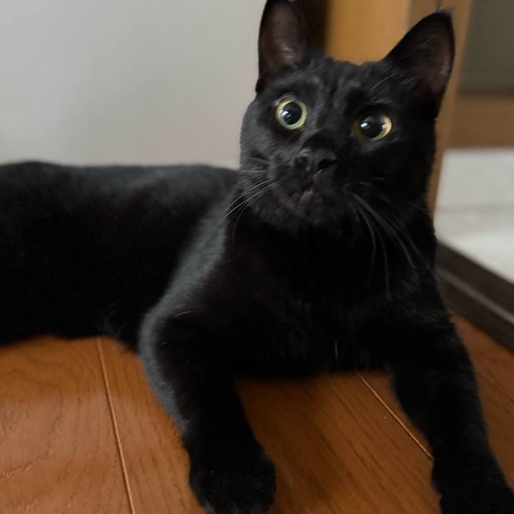 25250163 4413 44ab ac3b 4475f69d4d95 1759277198905