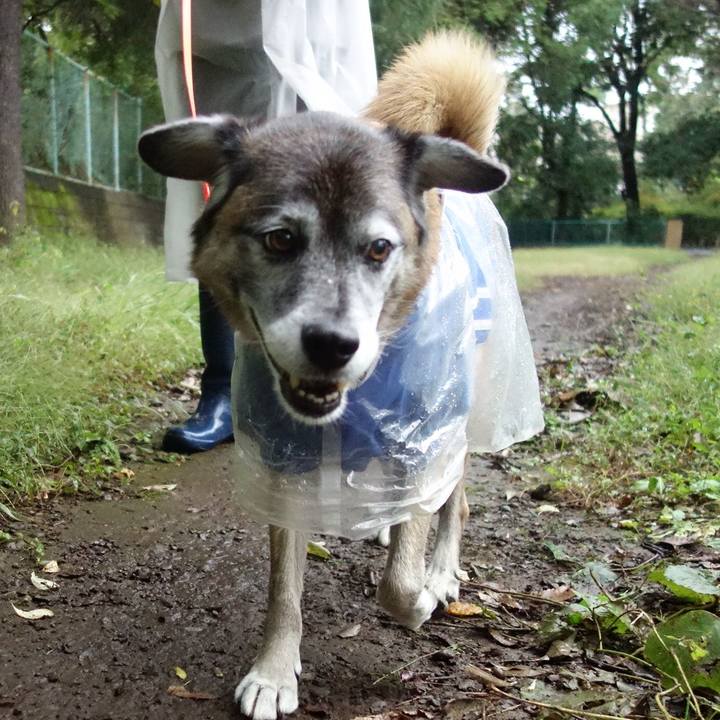 25253cf1 c9c8 46e4 9c9d 661ded33a44e 1572308764446