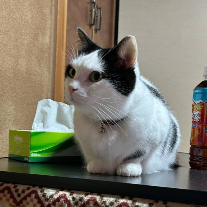 25255c90 eb9a 4746 8734 912174bfd0ec 1767743965454