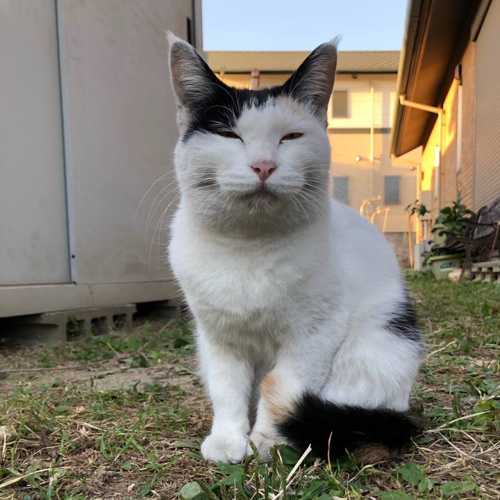 2525623e 1284 47ef 983f 375b3b3b4df4 1602756858648