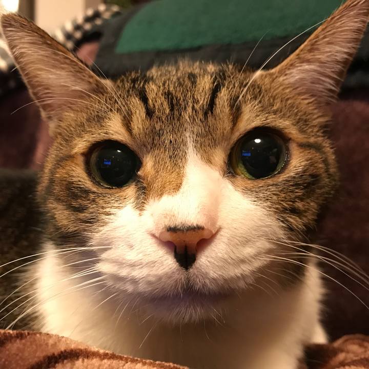 25257883 0a5d 4f87 9e74 5c97d2bb18b8 1518611325851