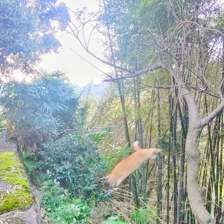 25259c9a d723 4db8 9137 72d649079441 1775657759178