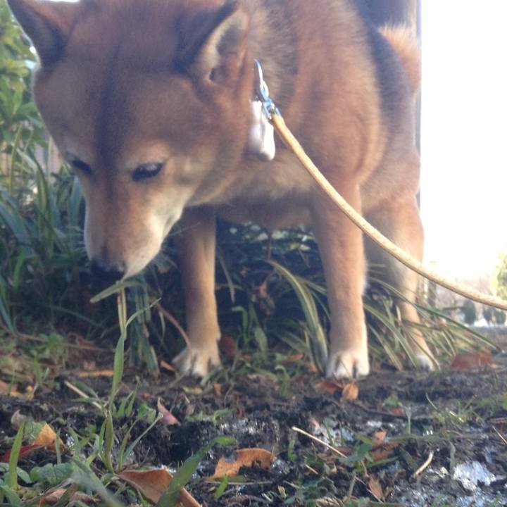 2525abec 43fa 4dc7 b3e6 9c1982225cb9 1513658002807