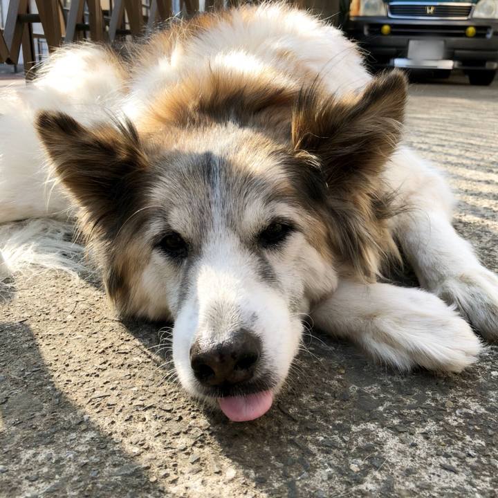 2525b9c1 88d4 4ba1 ac5f 03290ca041fd 1519690060300