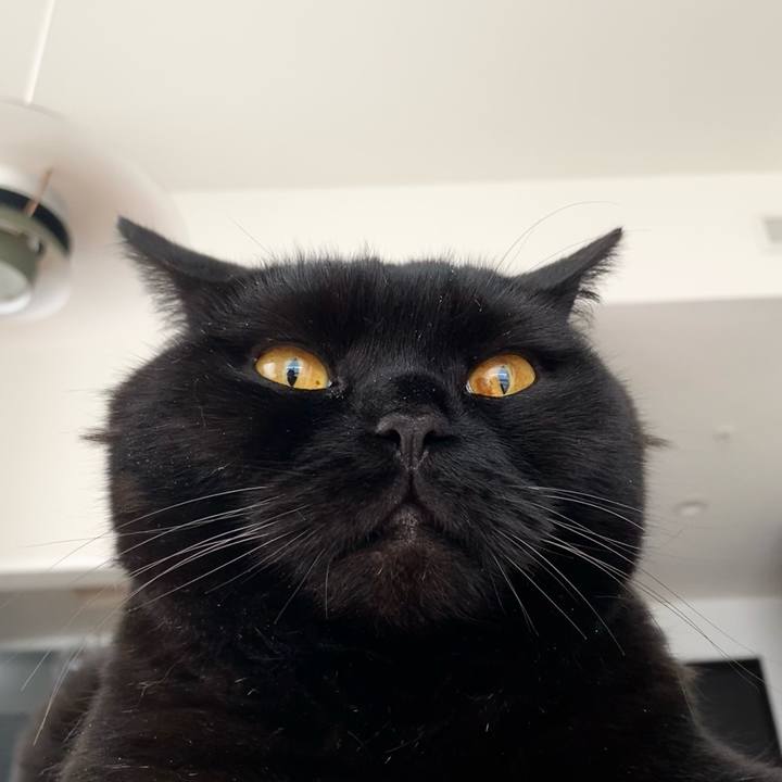 2525c60d 1ad6 4f36 80ea 1909810bab84 1684639881553