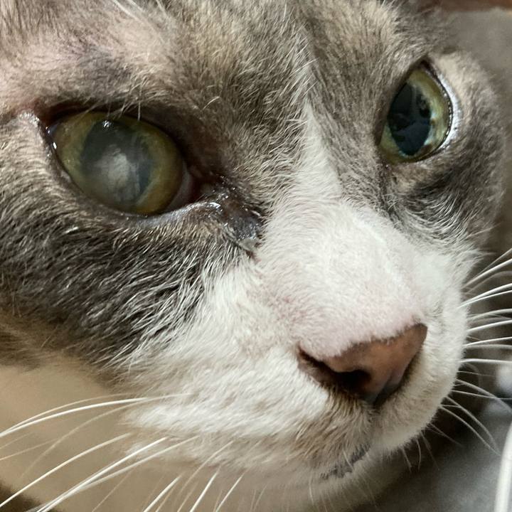 25260112 80da 4780 8f0e 49abd15cff62 1721023952207