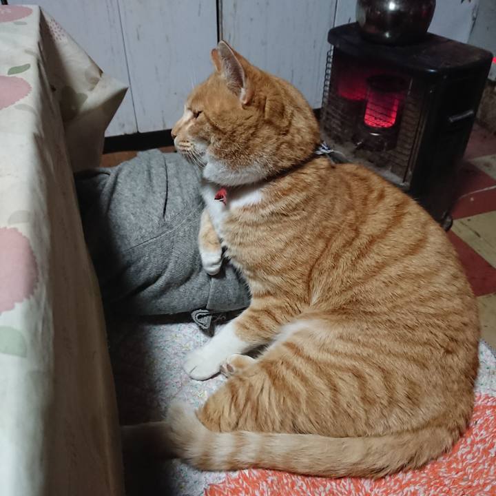 25262f90 903f 430f a735 caf331b15764 1575078795630