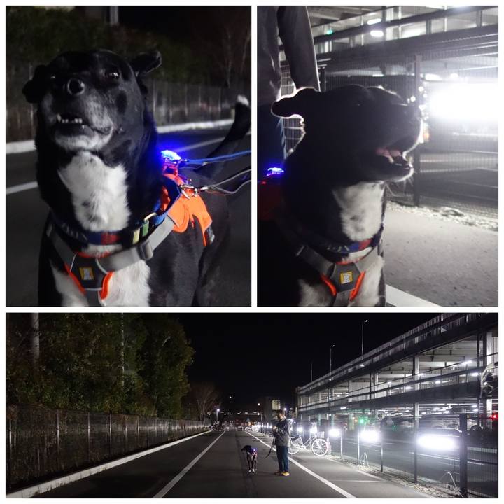 252631ad 7014 40e8 9c81 25395da9e318 1710068927831