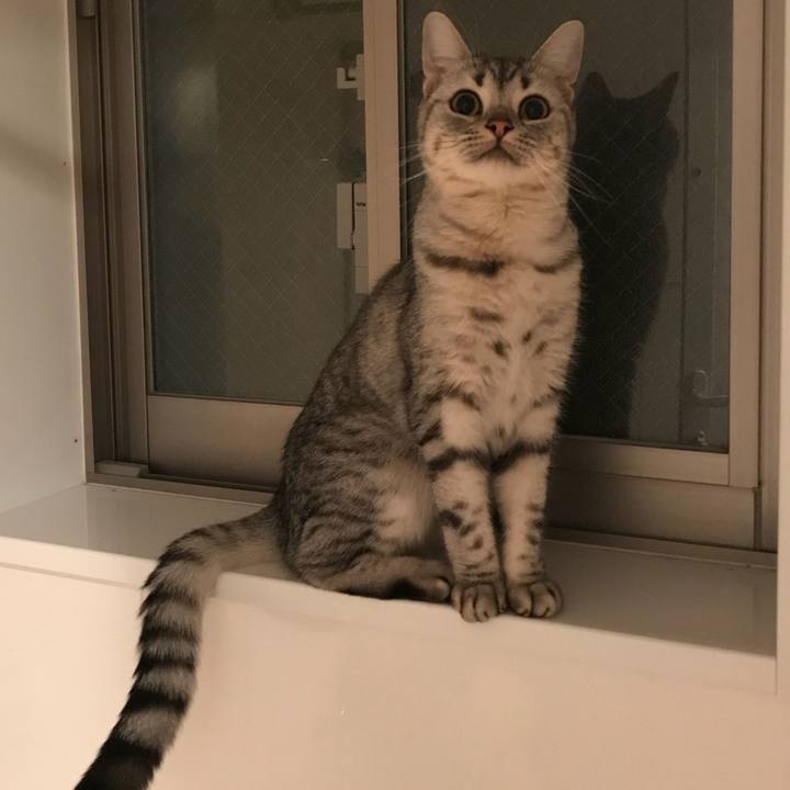 2526401e 2edc 468a b58b 603f55fc3a79 1510747770330