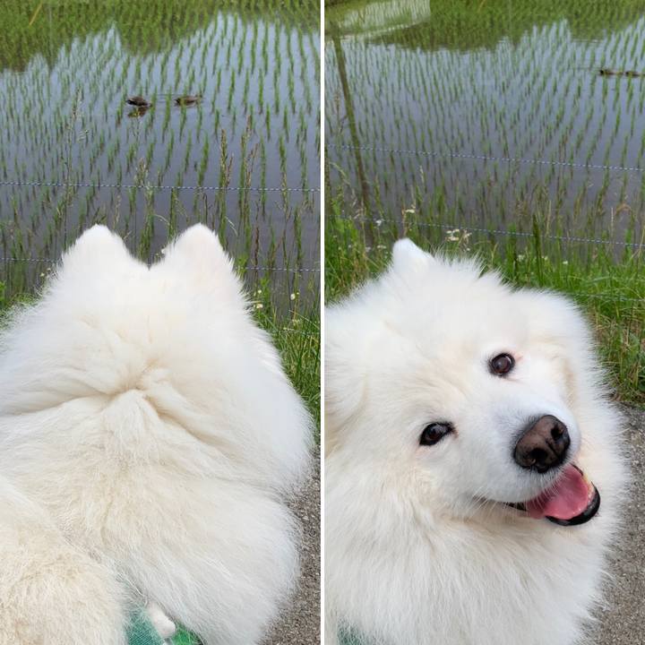 25264d03 12c7 44df 8188 542728ad66b4 1621138791486