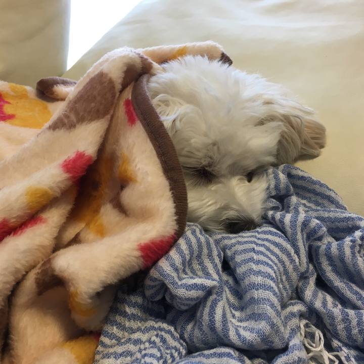 252652a7 dbf0 4260 8d1a 524614f9350e 1571021958914