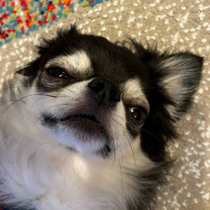 25268c80 9146 444b b18b af9ed3a297b9 1722785497153