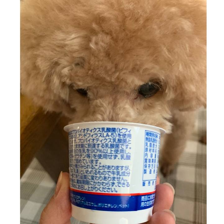 25269970 07c6 434b 974b 9583c56305d3 1598564721660