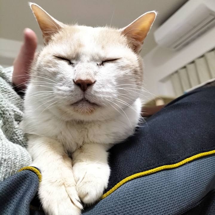 2526a452 8319 4f03 87b8 5baee2c8956f 1711975003164