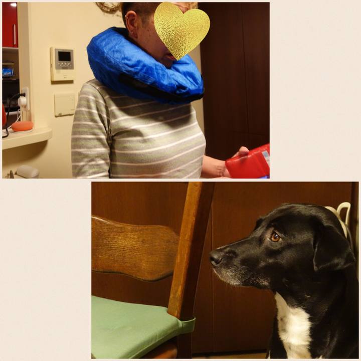 2526ae03 dca1 4941 9f06 223c935bd2a8 1750290310092