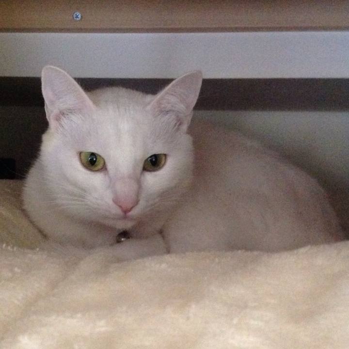 2526b0a7 ad70 4302 b069 66a27a67dad2 1635566231360