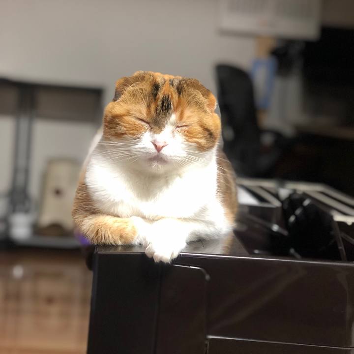 2526e45a 5808 4d2d a08c f6c6fb3c5ab8 1558097001746