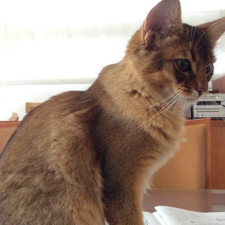 252704cb 3f4f 4cf3 85bf 5e04ce05c218 1574911161878