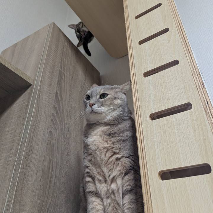 2527131f e750 415d 8a34 05d15687cc12 1738035763948