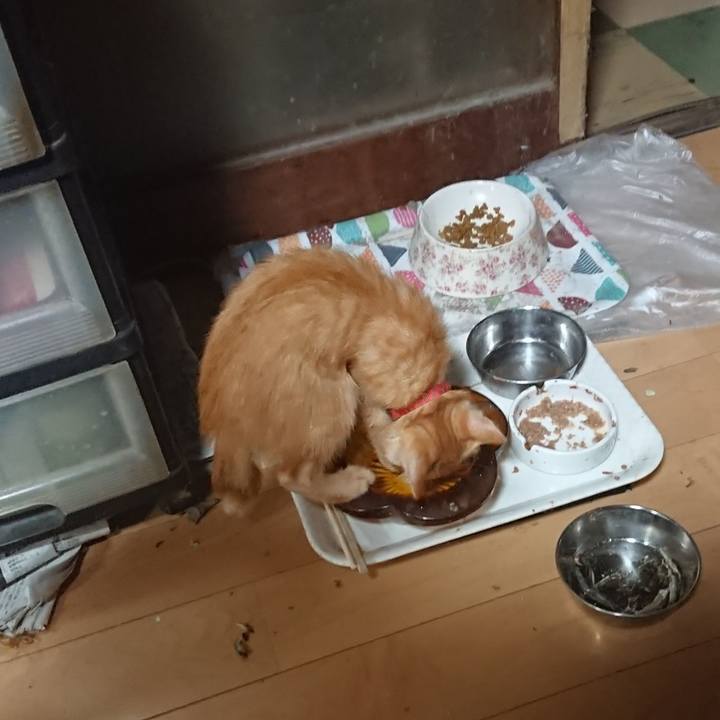 252716ee d9e4 4e4b ae86 e1147113013e 1630445111217