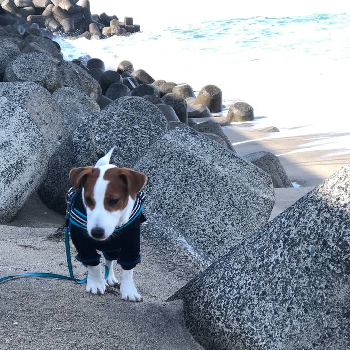 25273510 179b 4ce5 ac5b 913a9bbe47f2 1642405657845