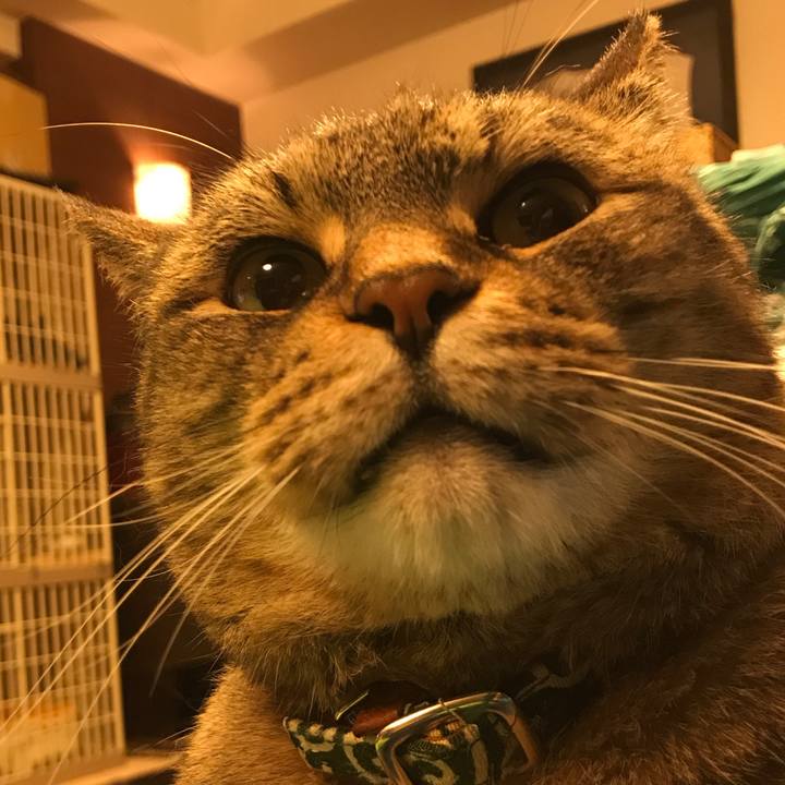 25273bcf 7b1d 4b5c 8f1e fe102abb5729 1526661849019